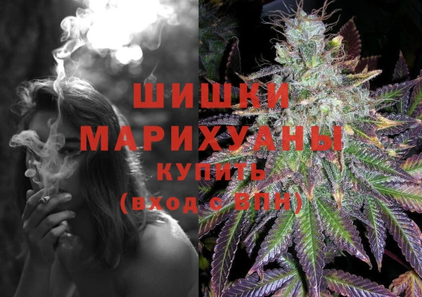 бошки Каменногорск