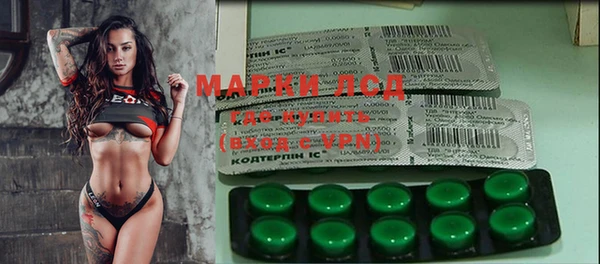 бошки Каменногорск